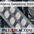 Adams Secret 3000 08